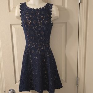 City Studio Navy Floral Lace Fit And Flare Dress